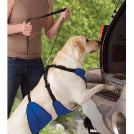 Guardian Gear Nylon Lift and Lead 4-in-1 Dog Harness, Small, Blue