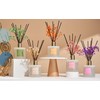 COCORRÍNA Reed Diffuser - Gardenia 6.7 Fl.oz Reed Diffuser Set