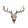 Things2Die4 Lifelike 10-Point Buck Deer Skull Replica - Exquisite Wall