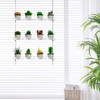 3-Tier Clear Hanging Window Plant Shelves 16In, Height Adjustable Acrylic