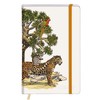 Clairefontaine 115995C - A Rigid Lined Notebook Jaguar/Fox - A6