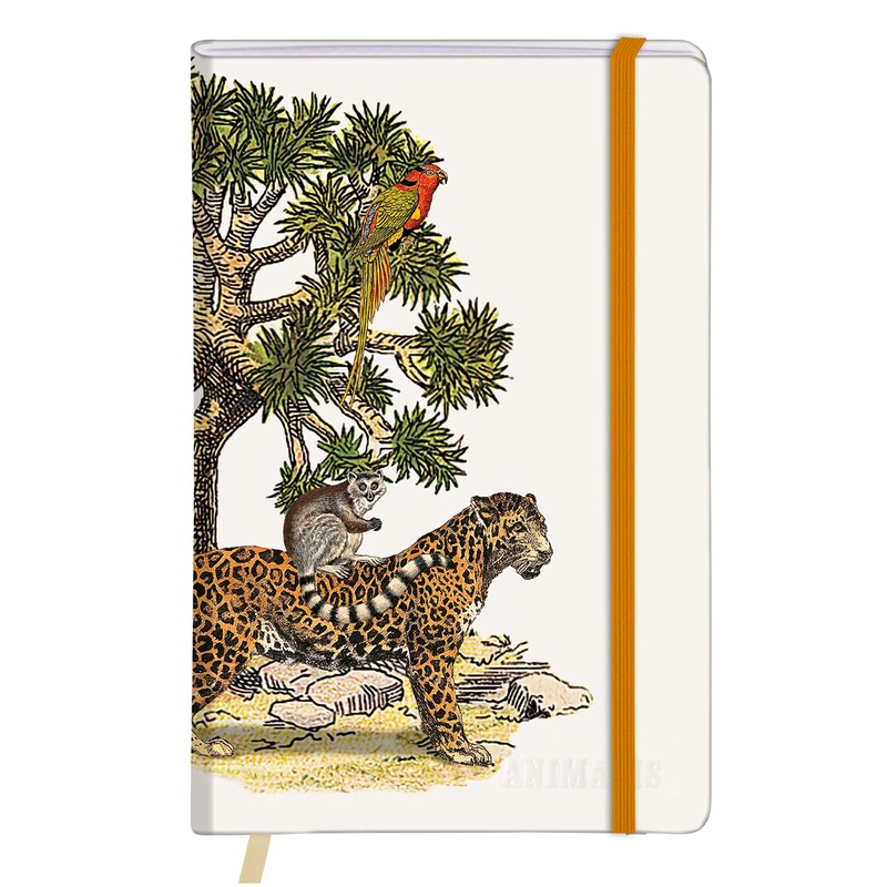 Clairefontaine 115995C - A Rigid Lined Notebook Jaguar/Fox - A6