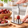 Stainless Steel Fruit Corer for Easy Pit Removal – Manual