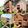 Automatic Chicken Coop Door Solar Powered - Opener Aluminum Auto