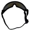 Birdz Eyewear Robin Sport Skydiving Snowboarding Motorcycle Riding Goggles Black