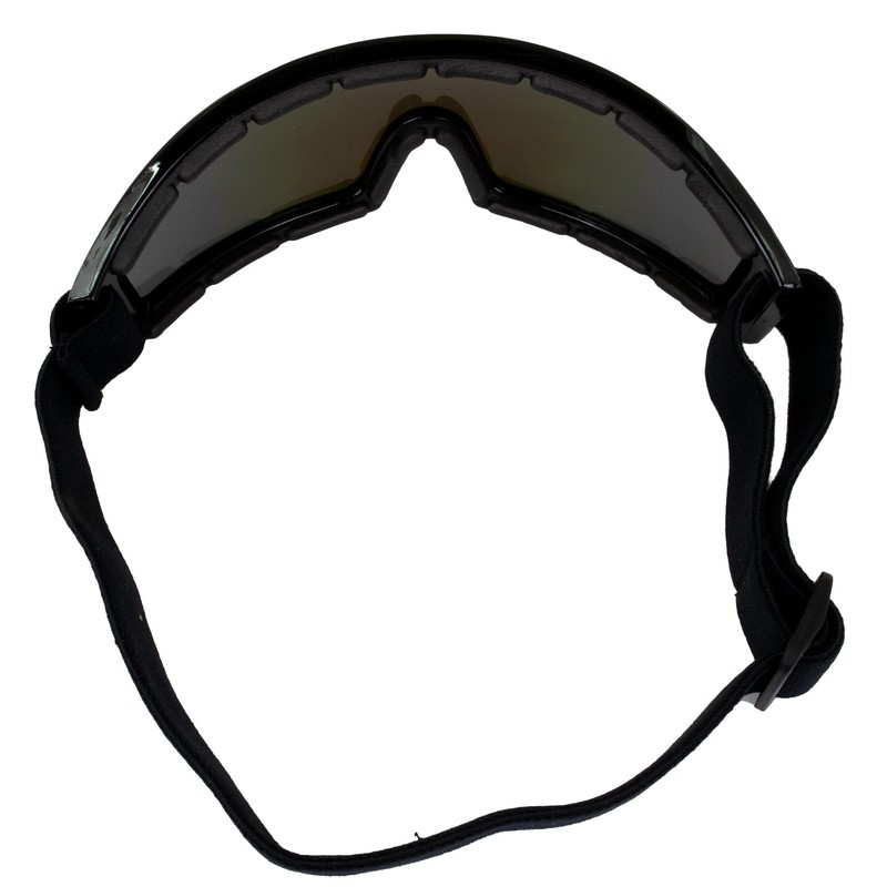 Birdz Eyewear Robin Sport Skydiving Snowboarding Motorcycle Riding Goggles Black