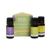 ECO. Modern Essentials Essential Oil Trio Calm & Destress 10ml