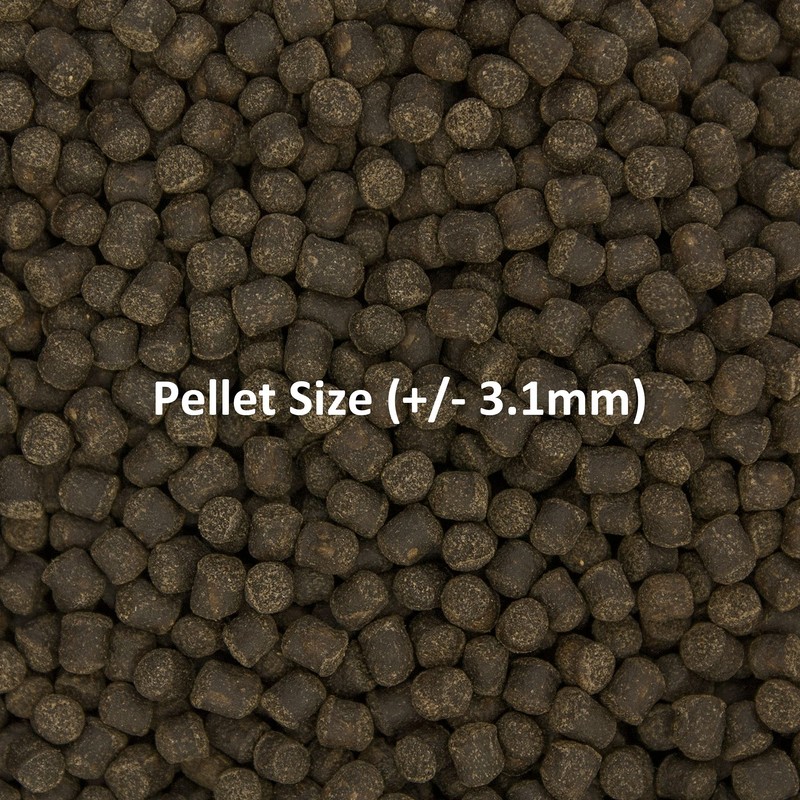 Ocean Nutrition Formula Two Pellets - Fish Food for Herbivorous