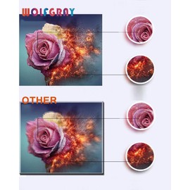 Wolfgray 20PK LC51 Compatible LC51BK LC51C LC51M LC51Y Ink Cartridge for Brother MFC 230C 240C 350C 3360C 440CN 465CN 5460CN 5860CN 665CW 685CW 845CW 885CW DCP 130C 330C 350C IntelliFax 1360 Printer