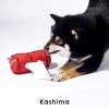 카시마 노즈워크 장난감 우체통 강아지 고양이 Kashima Nosework Toy Mailbox