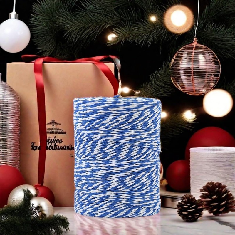 Blue and White Twine String,984ft Christmas Bakers Twine 2MM Heavy