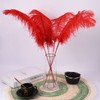 Ballinger Red Ostrich Feathers for Centerpieces - 12pcs 24-26inch Feathers