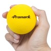 Sakurai PS-2289 Promark Baseball, Training Balls, Practice Balls, Sponge Balls,