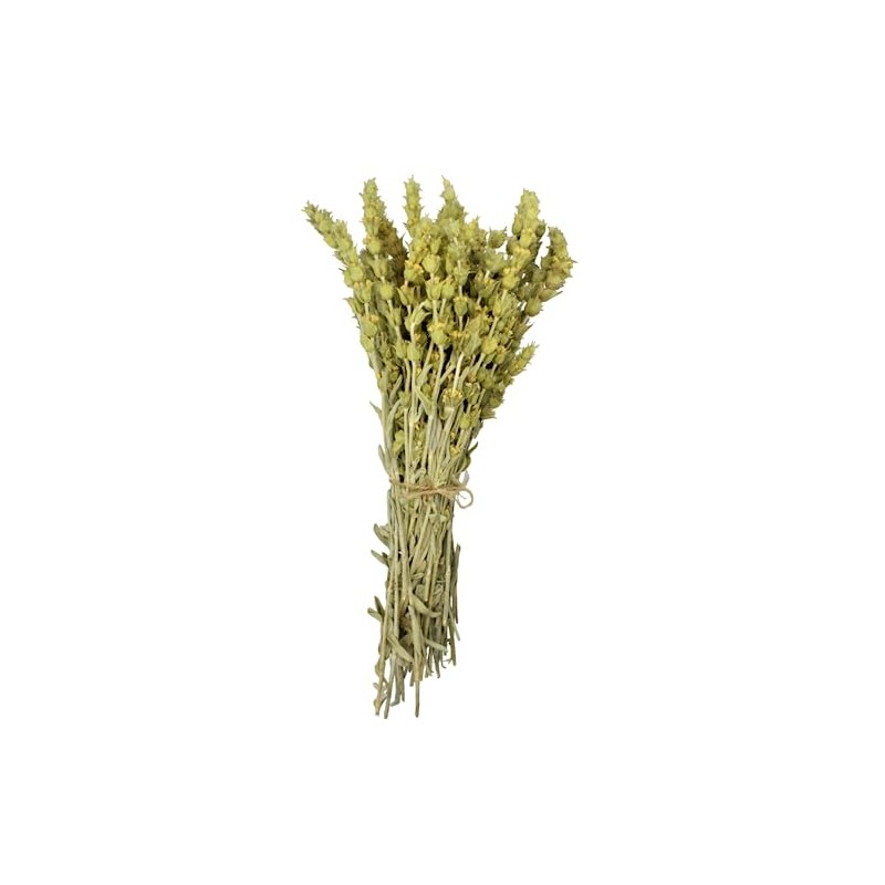 Greek Mountain Whole Tea Loose Herb Tea - Sideritis Raeseri