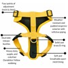 DJANGO Adventure Dog Harness – Comfortable, Durable, and Reflective Neoprene