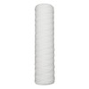 IPW Industries Inc. - Whole House Water Filter Cartridge -