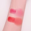 YNM silicone lip brush