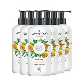 ATTITUDE Liquid Hand Soap, Plant- and Mineral-Based Formula, Vegan & Cruelty-free Personal Care Products, Orange Leaves, 16 Fl Oz (Pack of 6)
