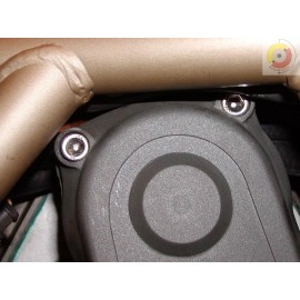 Desmoparts Ducati 2 Valve Engine Cover Stainless Screw / Bolt Kit with 110 fasteners