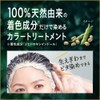 Bronellize Hair Color Server for Gray Hair Re-Black (Natural Blackness),