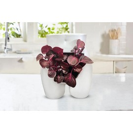 Modern female form decor Planter great gift for women Funny planter Female form vase boho bathroom decor bikini wax planter has drainage holes planter for Succulents, Air Plants, Cactus