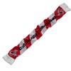 1. FC Köln Real Fründe Scarf, multicoloured