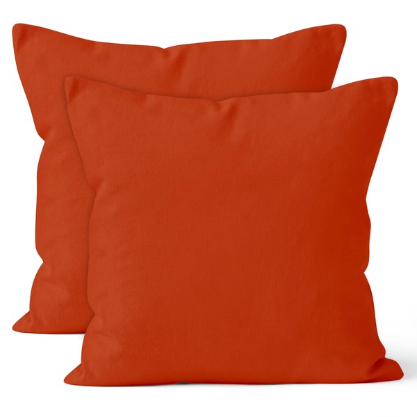 Cotton Canvas Throw Pillow Covers by Encasa Pack of 2