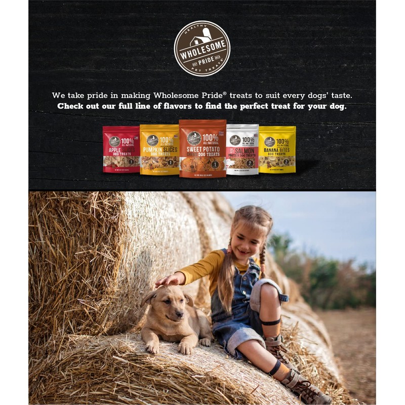 Wholesome Pride Functional Dog Digestive Support Chicken Recipe Jerky Bites
