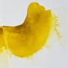Winsor & Newton Additivo Acquerello 75ML Liquido Bile di Bue