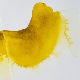Winsor & Newton Additivo Acquerello 75ML Liquido Bile di Bue V3