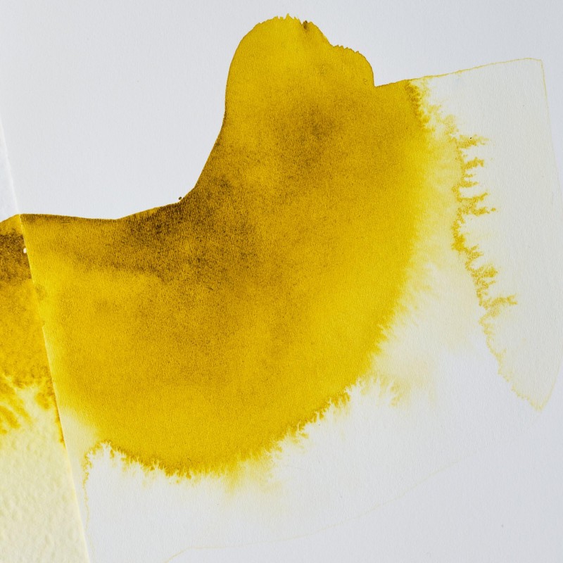 Winsor & Newton Additivo Acquerello 75ML Liquido Bile di Bue