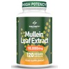 Mullein Leaf Extract for Lungs - 10,000 mg – Lung