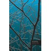 Notebook - Snowy Tree (5x8) (Night Blue)