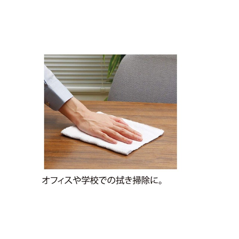 HouseLab Cleaning Cloth, 10 Count