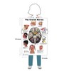 The Brain Poster 24x36inch, Waterproof, Cranial Nerves