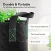 VIVOSUN 5-Pack 5 Gallon Grow Bags Heavy Duty 300G Thickened