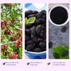 Dried black mulberries 10.58oz. Snacks and baked mulberry tea without