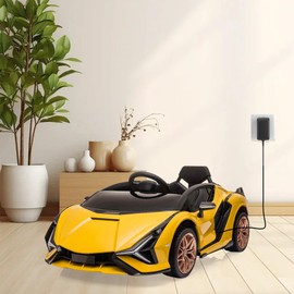 MDCGPower 6V Charger for Kids Ride On Car Toys 6 Volt Battery Charger Compatible with Kidzone Bumper SUV Toddler Quad ATV Electric Battery Powered Ride-Ons Toys, Black