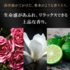 Lux bio Fusion Damage Defense Conditioner tumekae For G