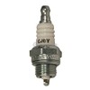 Champion Spark Plug, CJ6Y