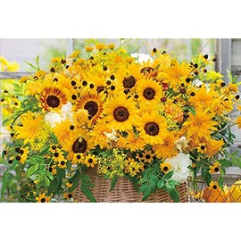 BEVERLY 1000-026 Beverly 1000-Piece Jigsaw Puzzle Attracts Good Luck Positive Flower (19.3 x 28.3 inches (49 x 72 cm)