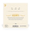 D'Addario | Cuerdas para Requinto | Bronce Fosforado | EJ94