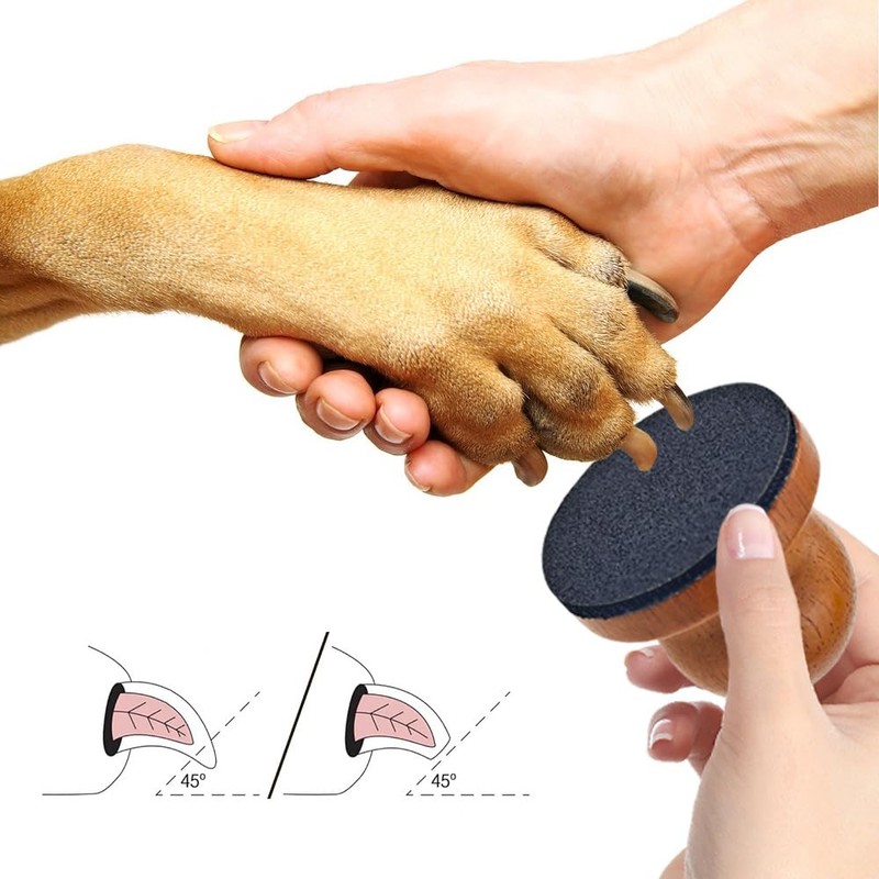 Arvintas Dog Nail File with 4Pcs Replaceable Sandpaper, Dog Scratch