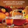 The Republic of Tea – Harvest Stackable Tea Tin, 36