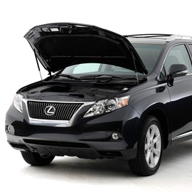 Strongarm 4993 Hood Lift Support, Pack of 1, black