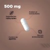 Suplemento Nutrinova Appetia Cápsulas L-Carnitina Matcha Forskolina CLA