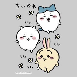 Chara Pitta CK-A-202307-ha4 Iron Print Sheet, Chiikawa, Postcard Size 4 (Size Approx. 5.8 x 3.9 inches (148 x 100 mm))