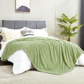 DREAMNINE Extra Large Soft Plush Fleece Bed Blanket Queen Size 90" x 90", Luxury Shaggy Lightweight 3D Patterned Velvet Flannel Blanket, Solid Big Cute Warm Lap Blanket for Winter Pet, Washable, Green