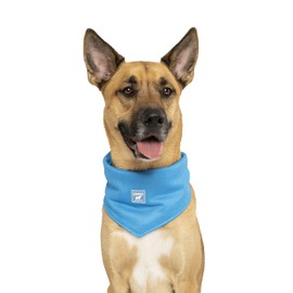 Canada Pooch Cooling Bandana for Dogs - Summer Triangle Scarf, Suitable for Small Medium Large Dogs (M, Blue)