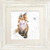 Wrendale Design Born To Be Wild Fox Framed Picture In